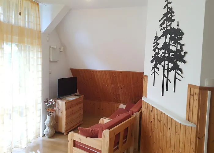 Anita - Dovolenka Pre Rodiny Pri Balatone *